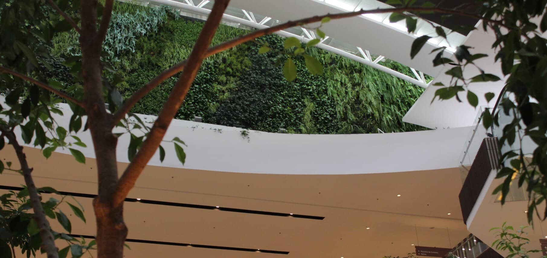 Diseño y arquitectura del Centro Comercial Fontanar