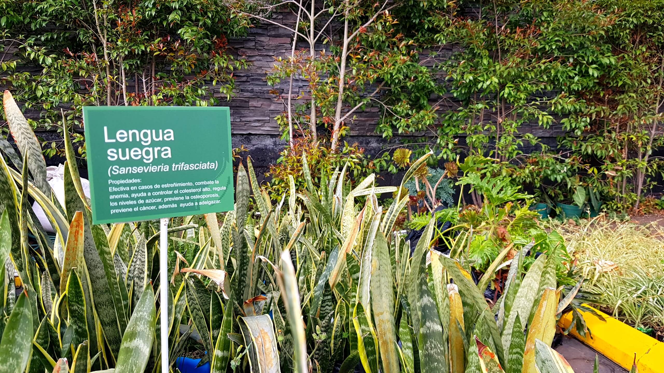 FONTANAR_BLOGHUERTA1