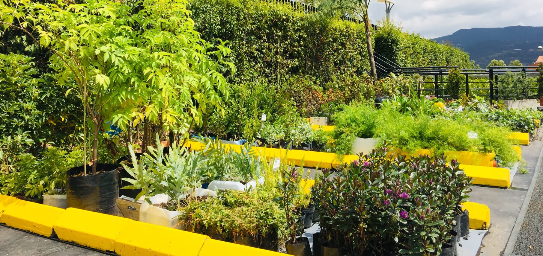 HUERTA_FONTANAR